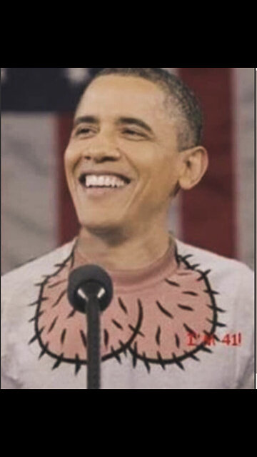 Trump Thinks Obama Is A Real Jerk !