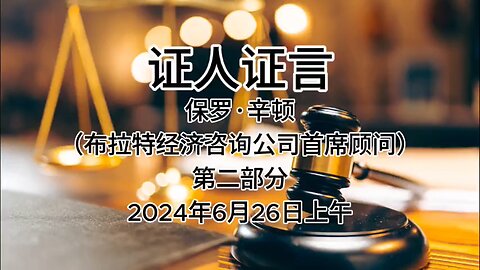 2024年6月26日上午 郭文贵先生庭审 检方第33位证人- 保罗·辛顿（布拉特经济咨询公司首席顾问）AI中文朗读（2）