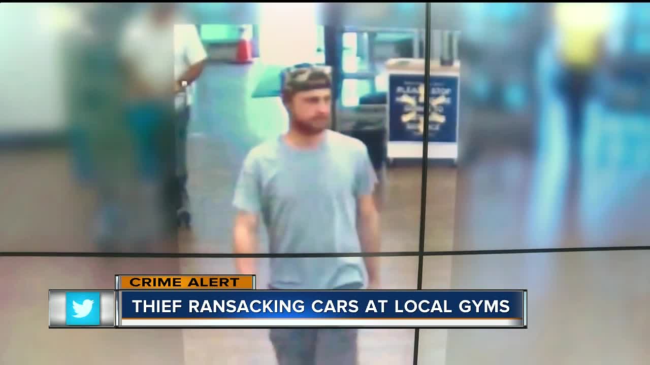 Thief ransacking cars at local gyms