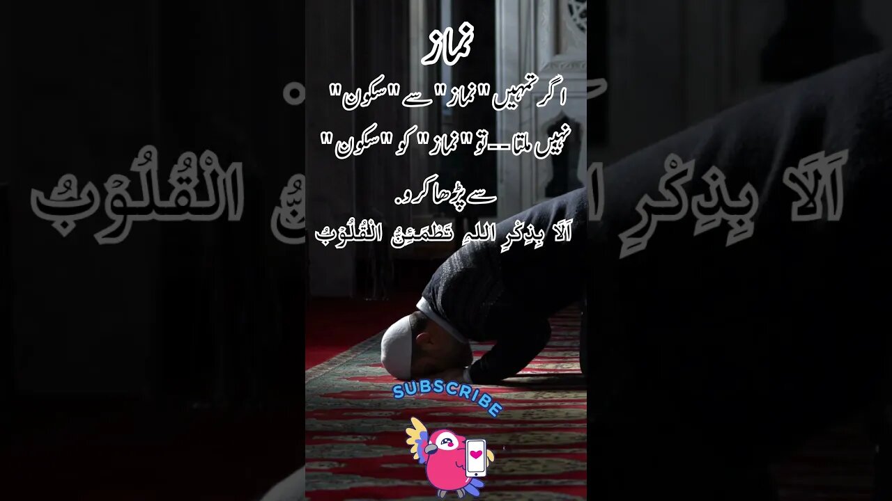 namaz Sukoon | interesting facts quotes shorts Urdu viral