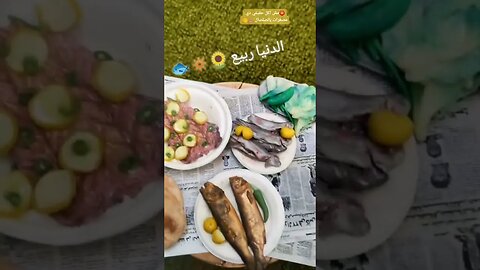المناسبات فى مصر ⁦🇪🇬⁩