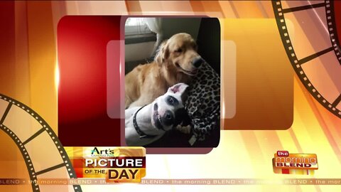 Our Art's Cameras Plus Picture of the Day for July 17!