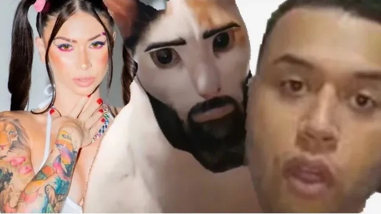 MACHO REACT MC PIPOKINHA É M@MA@D@ PELO GATO E SUBMUNDO INTELECTUAL FICA COM INVEJA