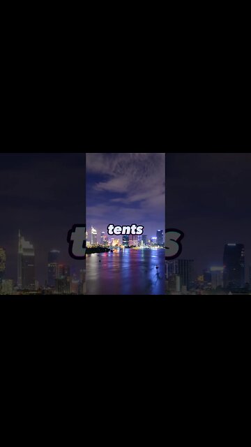 100 Cats Pitched Tents