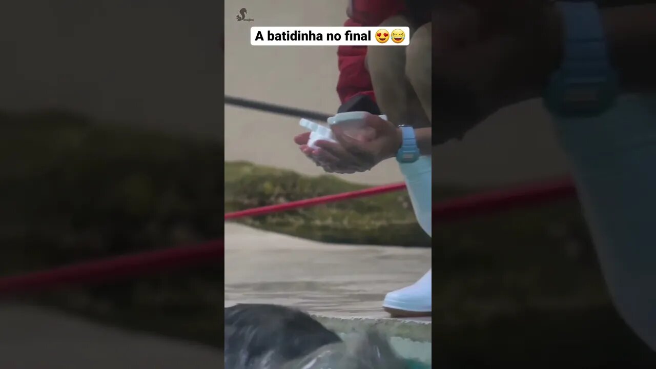 a batidinha no final bem fofinho