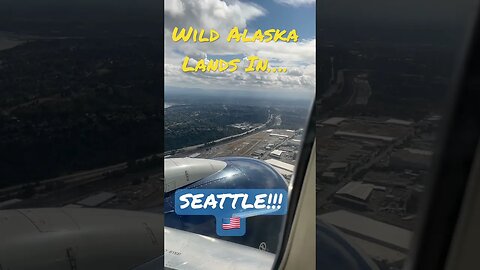 🔥Beautiful Landing in Seattle 737-800 8/22🇺🇸#aviation #shorts