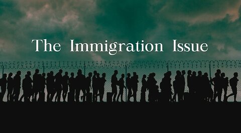 Unraveling the Threads: America's Immigration Debate