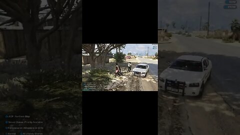 Cop Gets Pissed #gaming #floridastaterp #gta5 #gtav