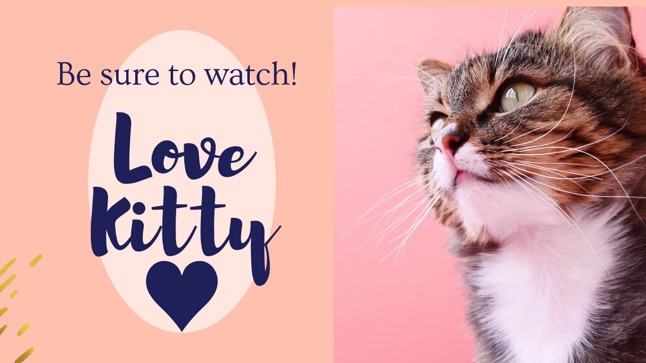 Cats are extremely cute!