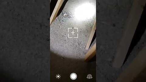 What you DON'T want to find in your attic. #pestcontrol #birds
