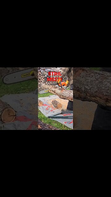 Ms 271 throwing chips #stihl #chainsaw