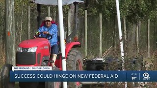 Florida farmers look to rebound, success could hinge on new round of aid