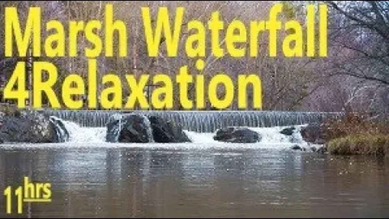 Lush Marsh Stream Waterfall-Relax Meditate Focus Work Study DeStress Soothe Baby PTSD-11hrs