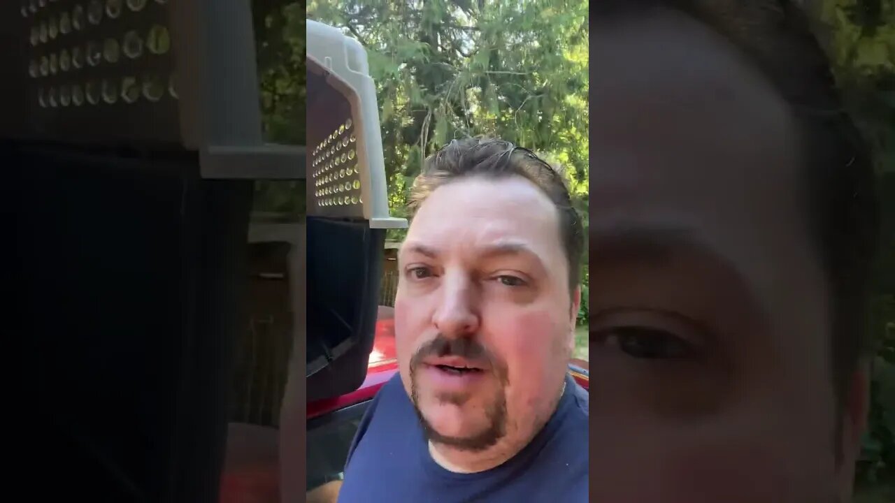 New Dog Kennel for Kekoa