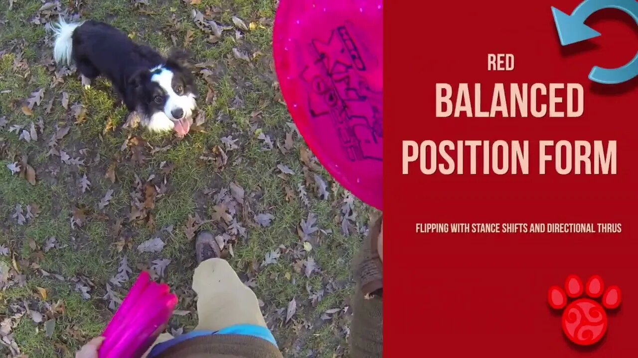 Disc Quan Do Sample: Red Balanced Position Form