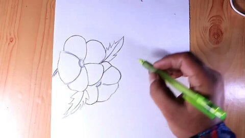 Simple pencil drawing beautiful Bird with Flower