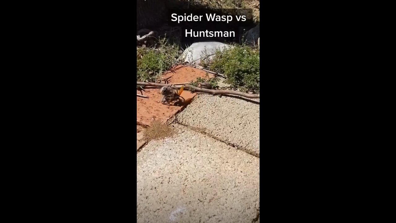 Oh no!