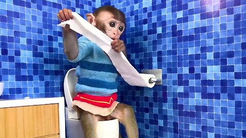 Funny monkey baby