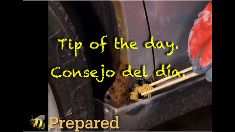 #13 Tip of the day.
