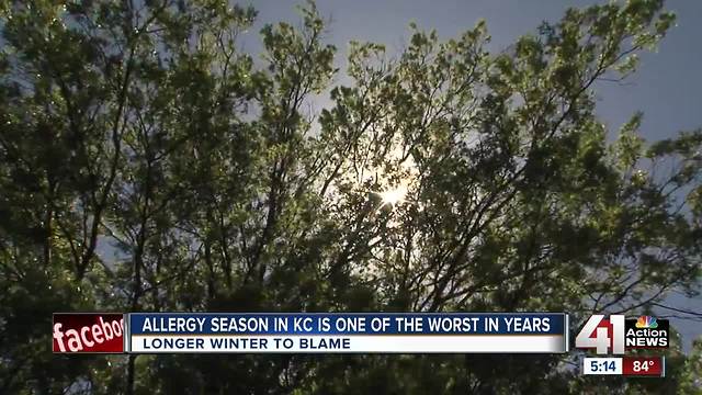 Allergy season in KC one of the worst in years