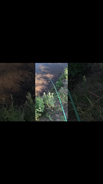 First ever cast on the Cast Cray glide swimmer! - Colorado Bass!