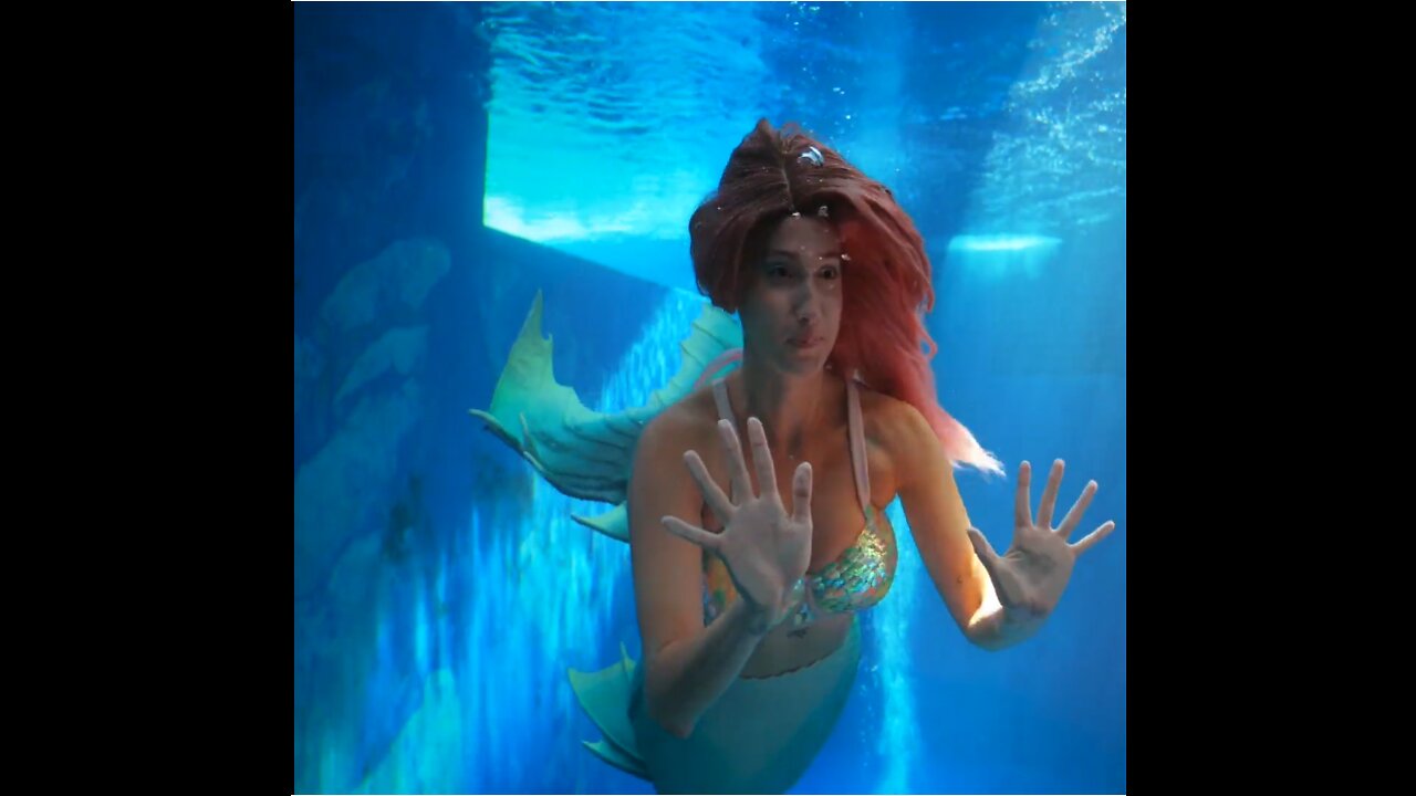 Show - Sea Life Aquarium & Relaxing Music