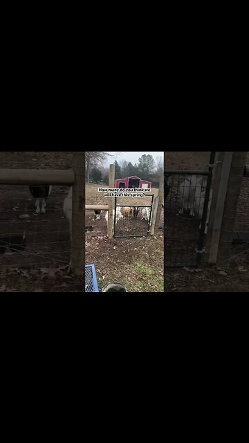 It’s an exciting day! #shortsfeed