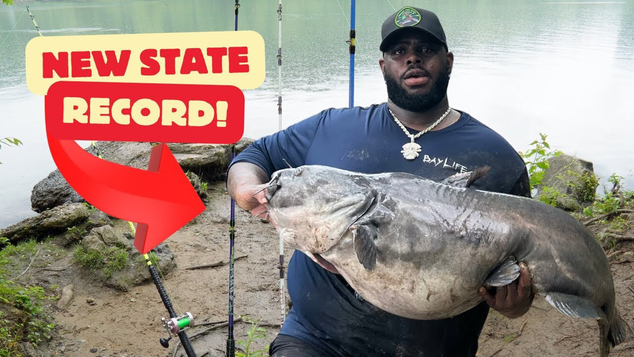 How To Catch A Big Catfish From The Bank (New PB)