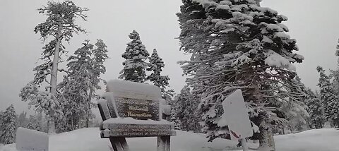 A foot of snow falls on Mount Charleston