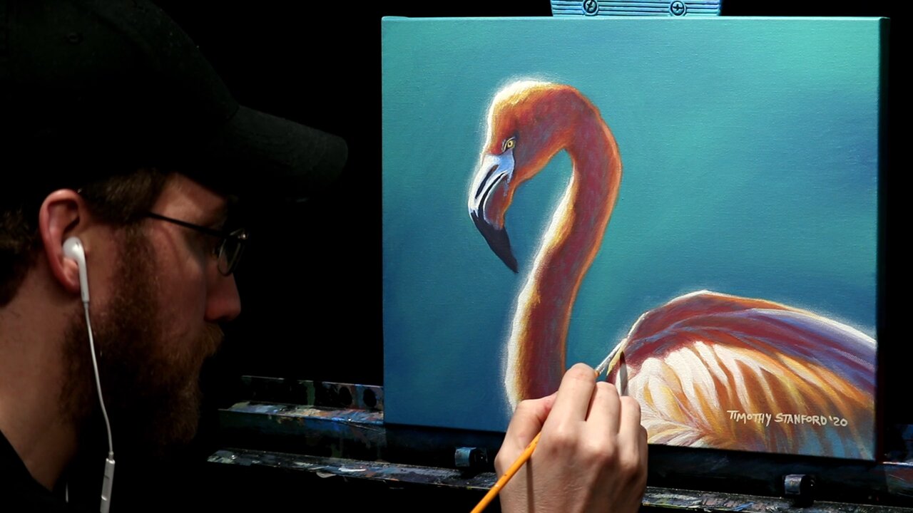 Acrylic Wildlife Painting of a Flamingo - Time Lapse - Artist Timothy Stanford