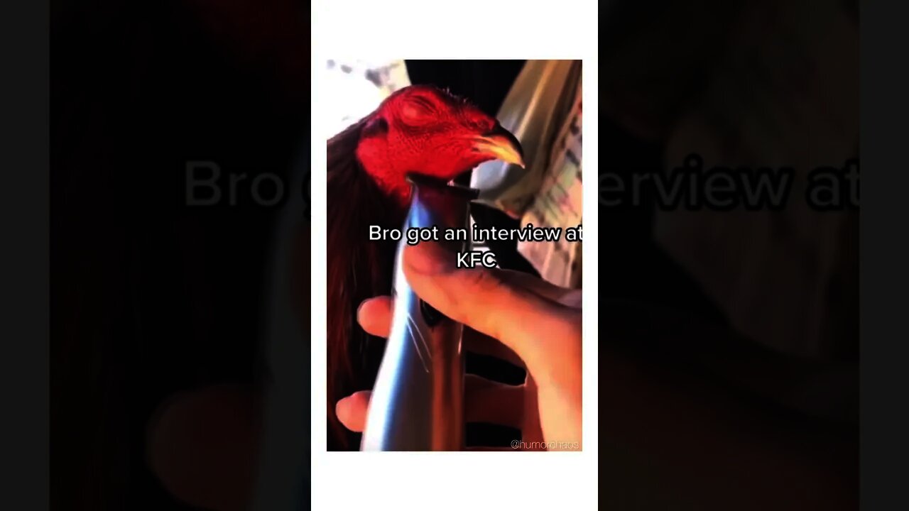 He's getting ready for the chicks😂