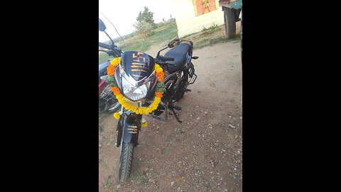 Honda shine 125 cc