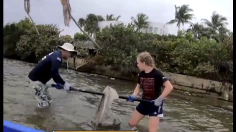 Oyster spawning season gets underway