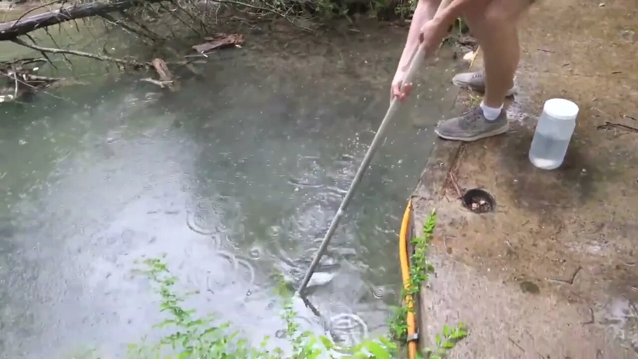 Baby Snapping Turtle vs Crayfish-9