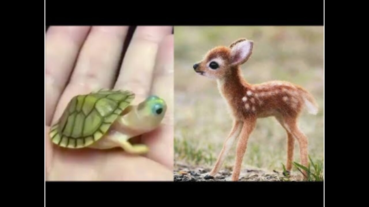 AWW Animals SOO Cute Cute baby animals Videos Compilation cute moment of the animals 7