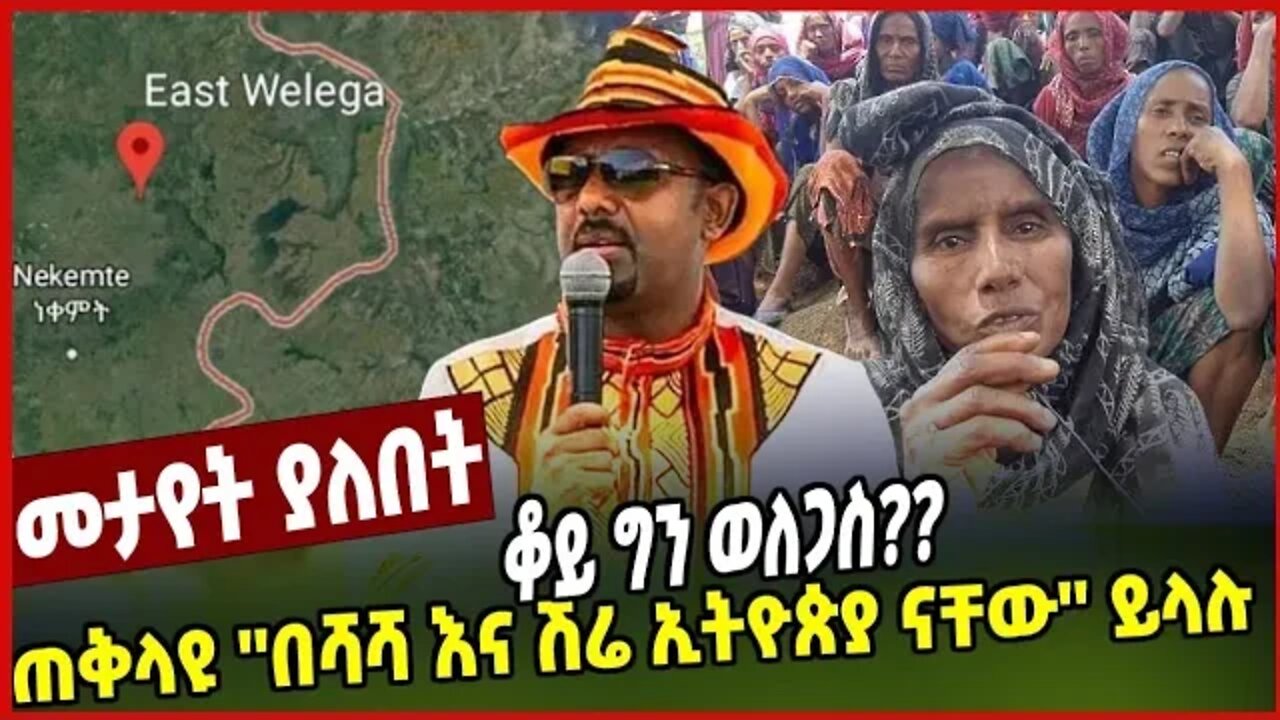 #Ethiopia ቆይ ግን ወለጋስ?? ጠቅላዩ ''በሻሻ እና ሽሬ ኢትዮጵያ ናቸው'' ይላሉ ❗️❗️ Abiy Ahmed | TPLF |Amhara Nov-07-2022