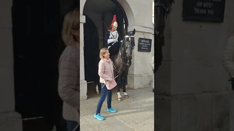 The horse keeps nudging the tourist's #horseguardsparade