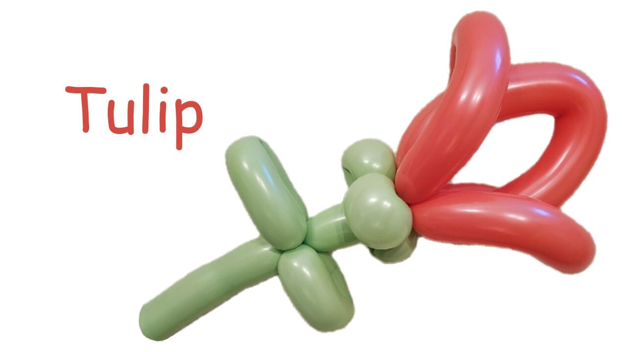 Balloon Tulip