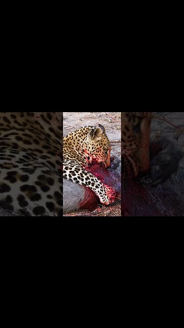 Messy, But Efficient | #shorts #shortsafrica #augdailyshorts