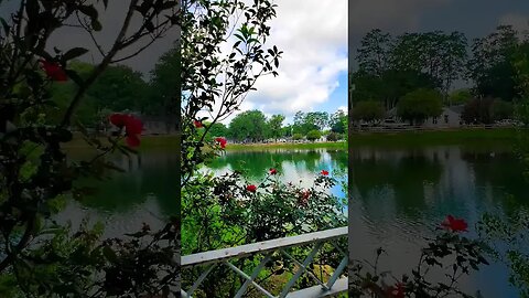 Lake Ella Cloud Timelapse 04