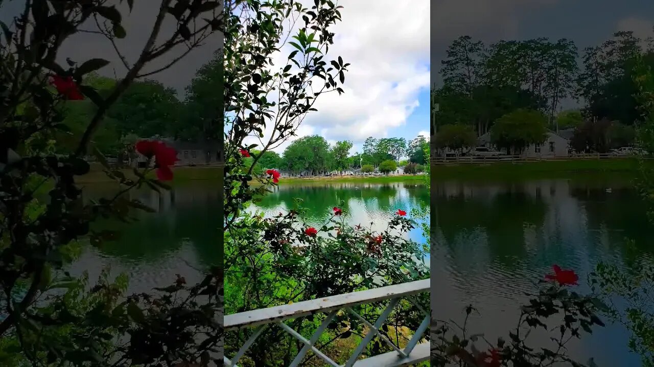 Lake Ella Cloud Timelapse 04