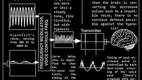 VOICE TO SKULL TECHNOLOGY - V2K