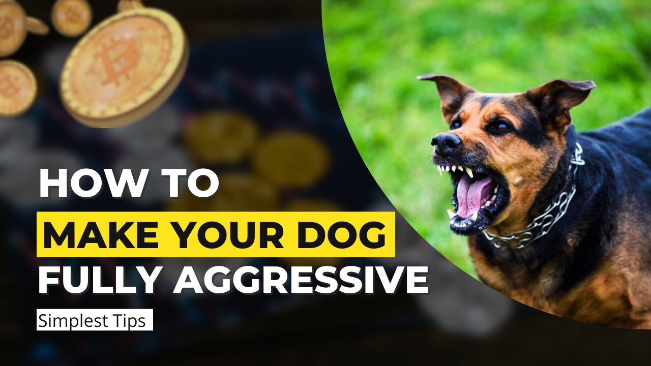 🐶 How to Make Your Dog 🐕 Fully Aggressive: A Comprehensive Guide