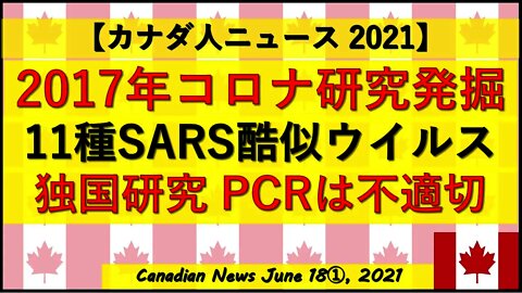 2017年コロナ研究発掘 11種のSARS酷似ウイルス ドイツ研究PCR
