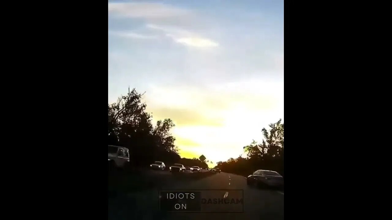 Idiot drivers 2022