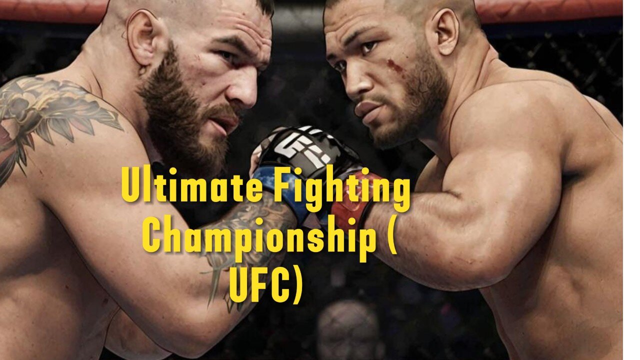 The Ultimate Fighting Championship (UFC)