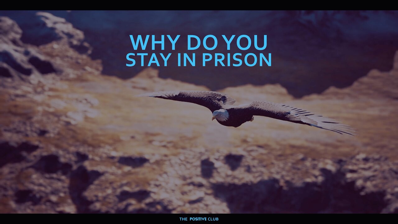 Why do you stay in prison?