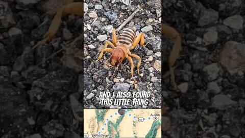 walking across Nevada with a nomad pt3