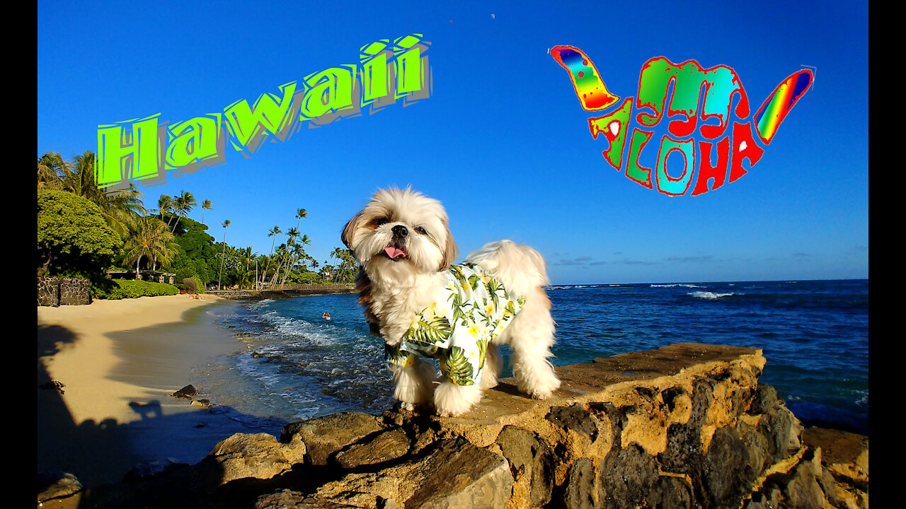 Hawaii Vacation