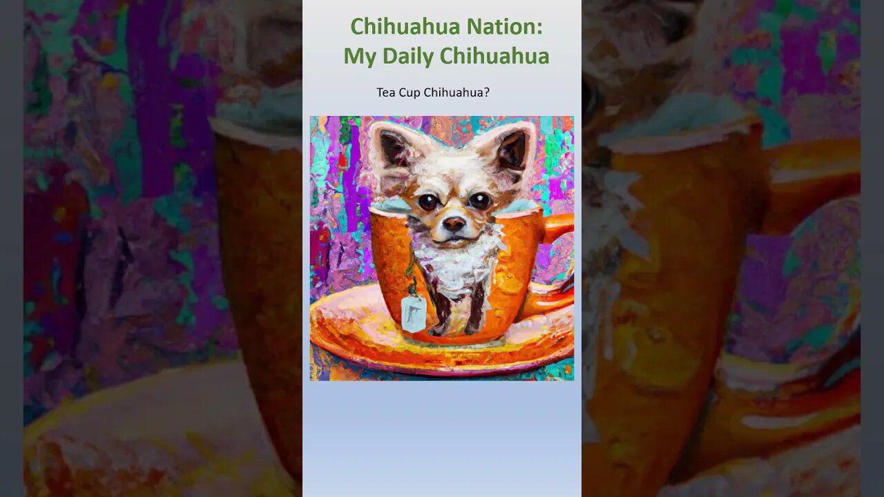 Tea cup chihuahua #shorts